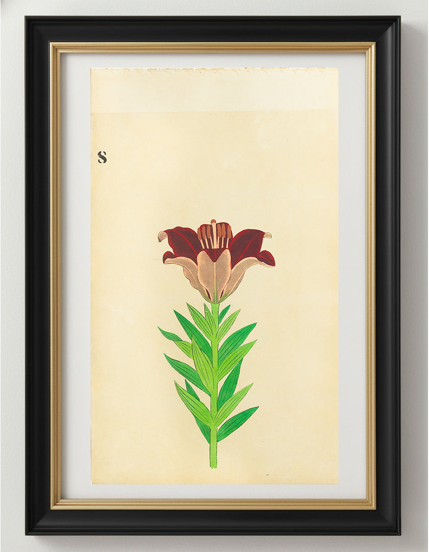 JAPANESE (Late 19th Century) - Lilies 8