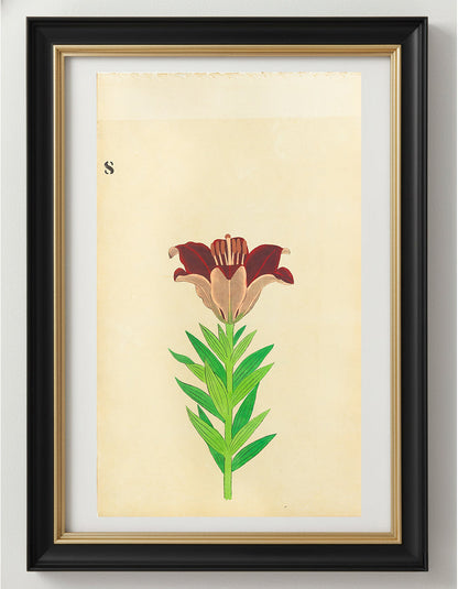 JAPANESE (Late 19th Century) - Lilies 8