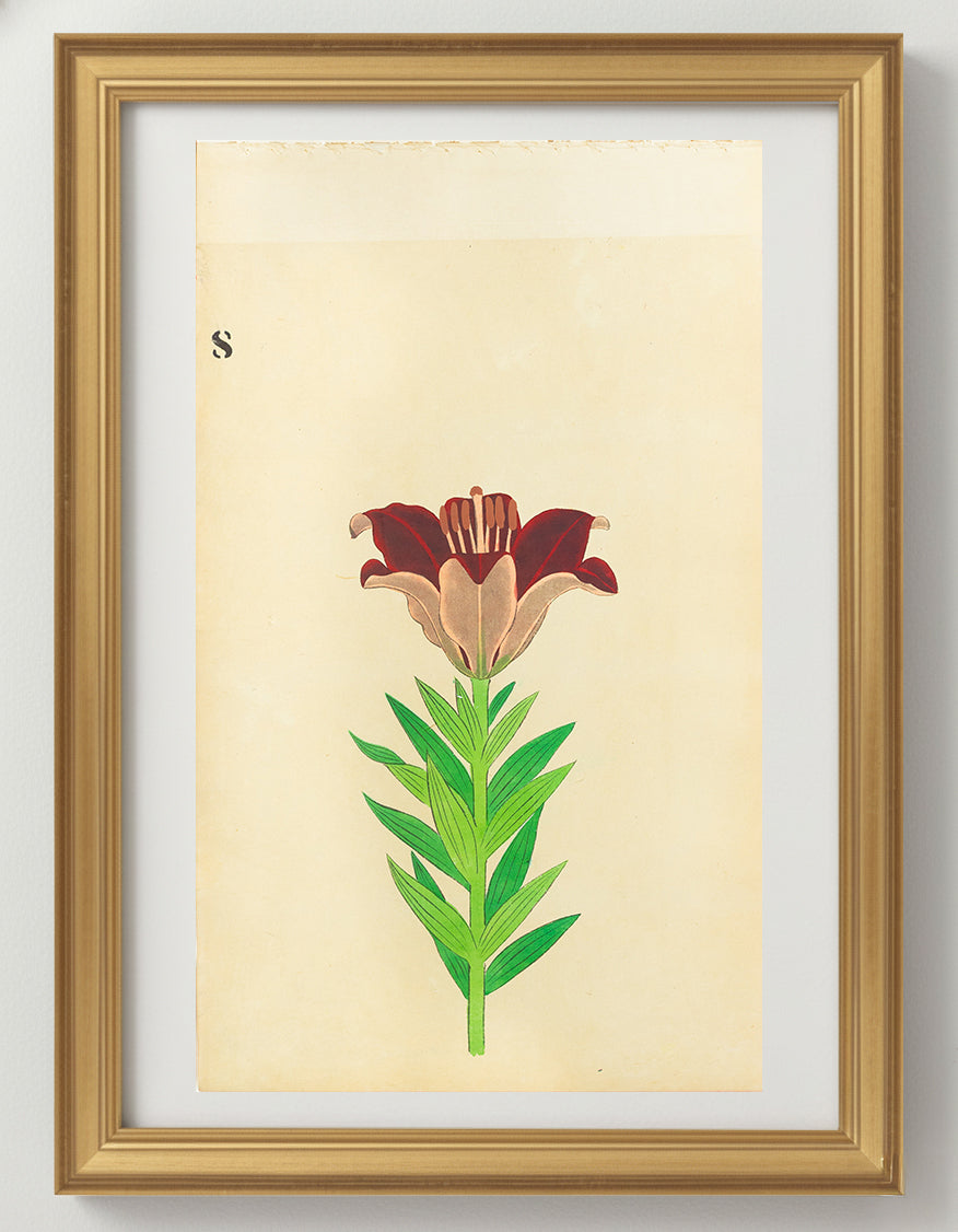 JAPANESE (Late 19th Century) - Lilies 8