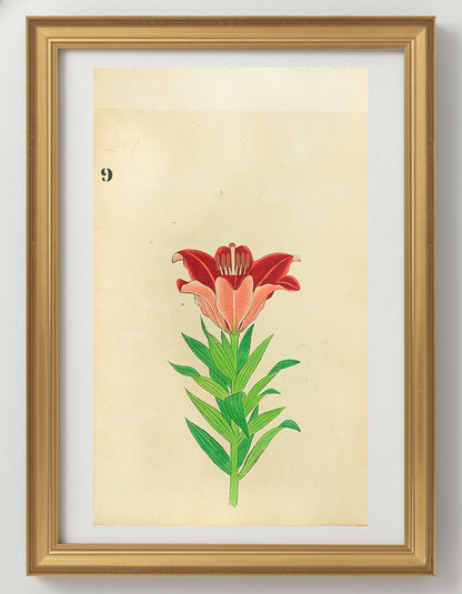 JAPANESE (Late 19th Century) - Lilies 9