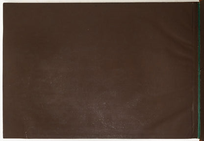 Pictorial St. Louis: The Great Metropolis of the Mississippi Valley. A Topographical Survey Drawn in Perspective A.D. 1875.