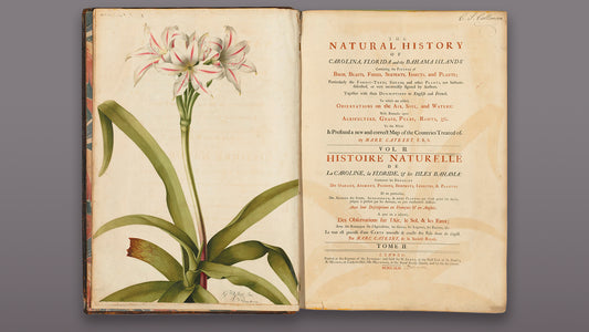 Extra-illustrated  Mark Catesby's The Natural History of Carolina, Florida, and the Bahama Islands and the volume of individual watercolors and prints assembled by Peter Collinson from the early 1740s through 1767