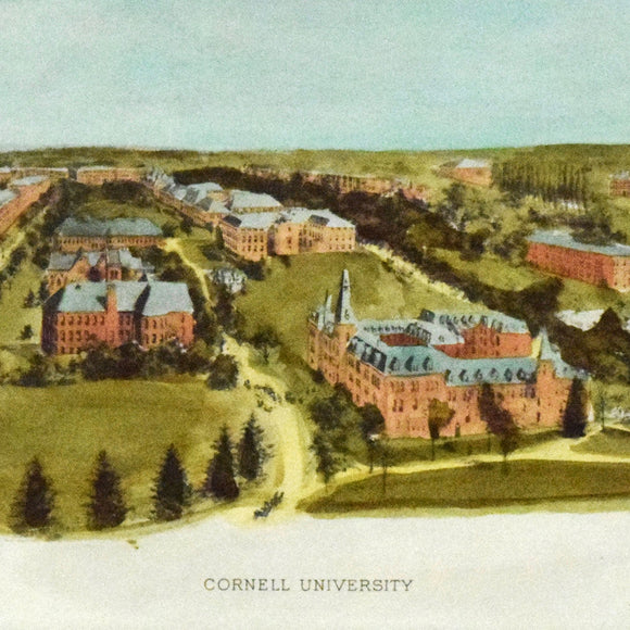 Cornell University